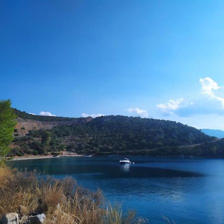 Arsinoe Ξενοδοχείο Μέθανα Εξωτερικό φωτογραφία