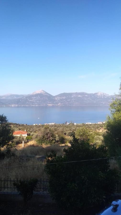 Arsinoe Ξενοδοχείο Μέθανα Εξωτερικό φωτογραφία